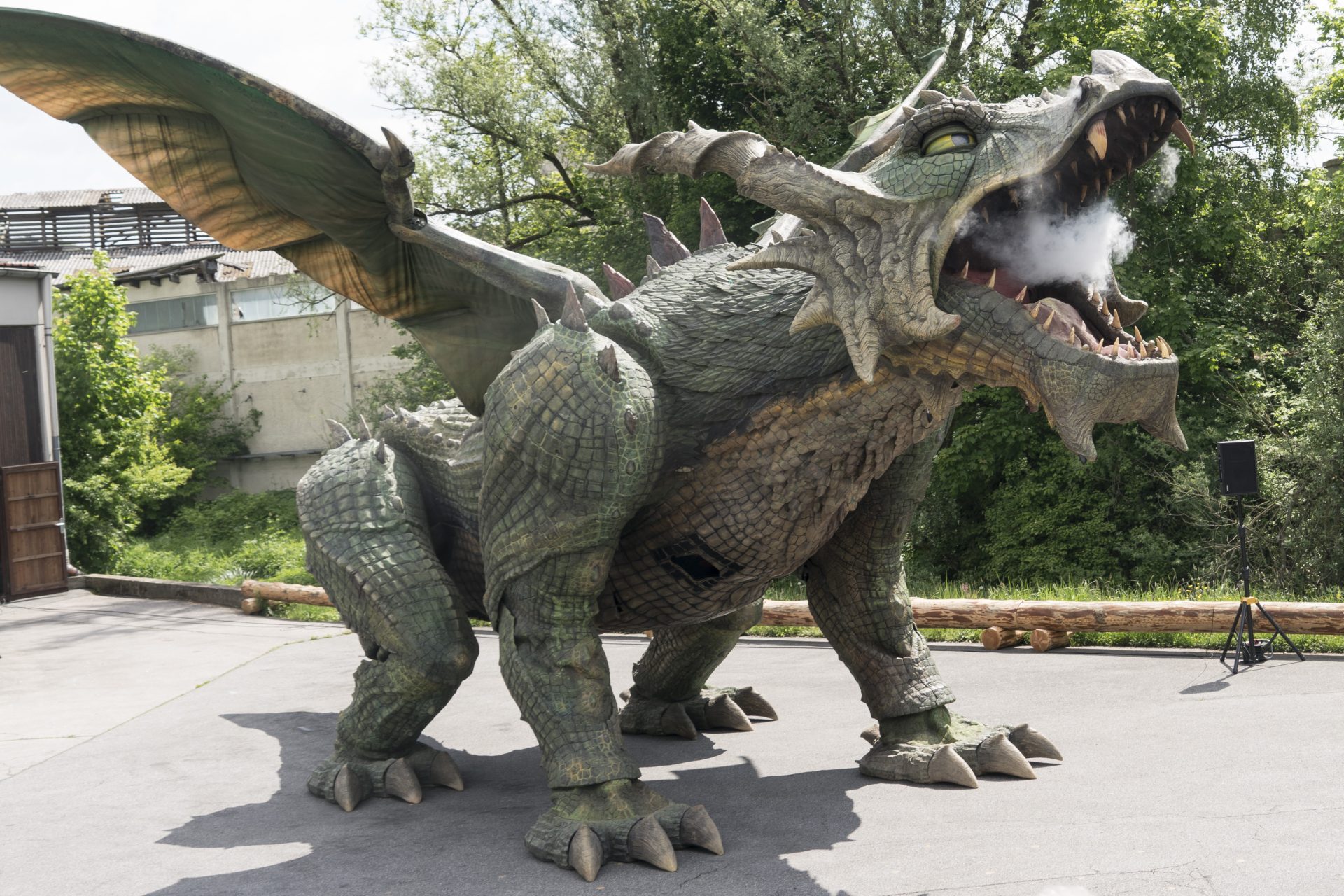 Fauchender Drachen
