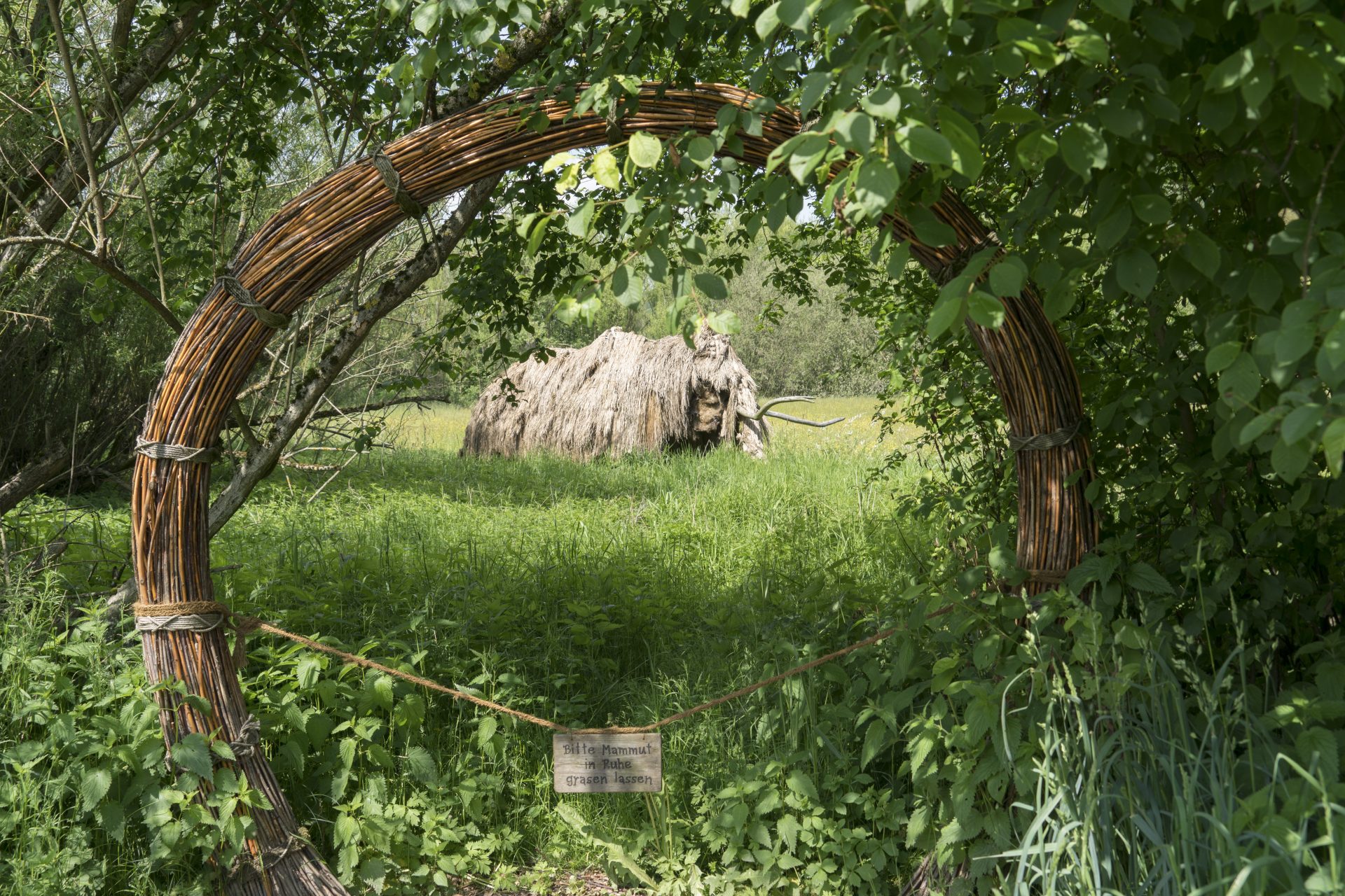 Mammoth in the Wildgarten