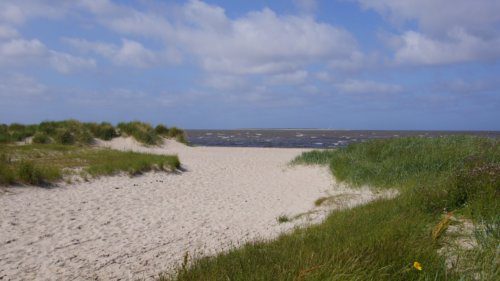 Strand von Schillig