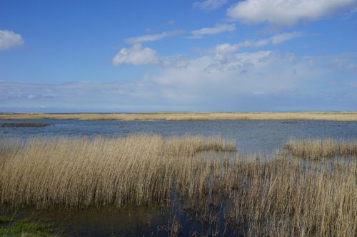 Wattenlandschaft