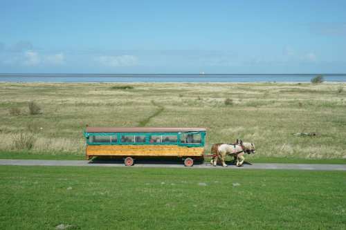 Kutschfahrt durch die Watt-Landschaft